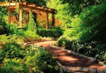 Los muebles del jardín están deteriorados, ¿debo desecharlos?