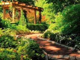 Los muebles del jardín están deteriorados, ¿debo desecharlos?