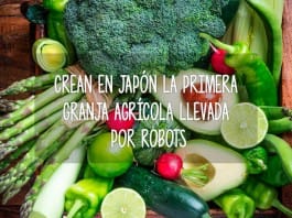 En Japón crean la primera granja agrícola operada por robots granja robots japon