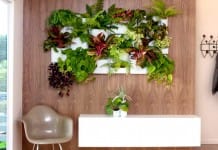 Transforma esa pared vacía en un hermoso jardín vertical