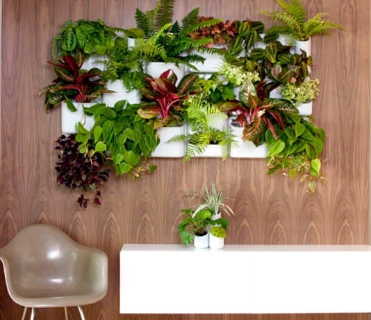 Transforma esa pared vacía en un hermoso jardín vertical