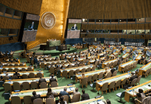 La Normativa Valenciana de Personas con Discapacidad se adecuará al tratado de las Naciones Unidas Normativa valenciana de personas con discapacidad